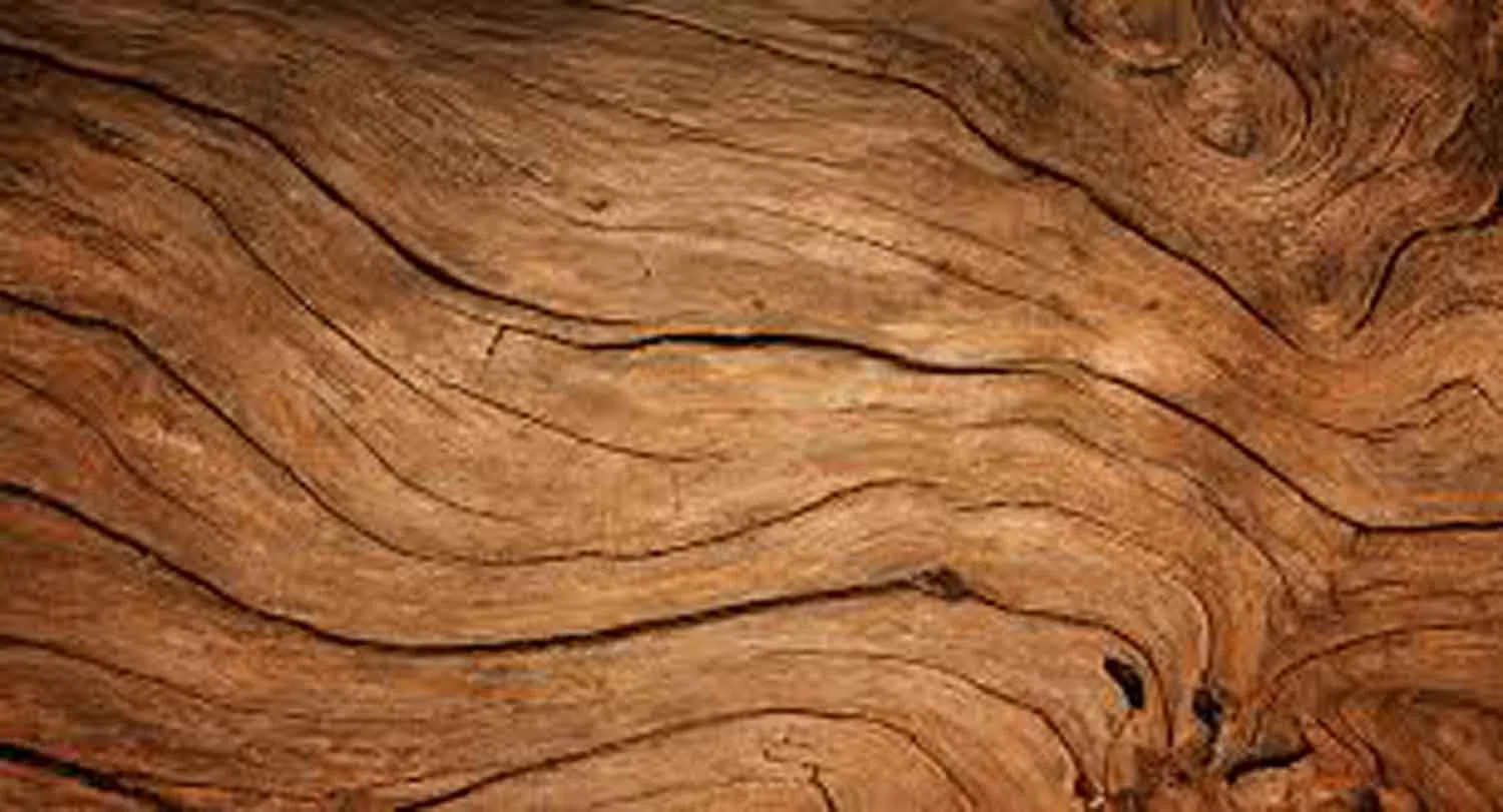 Sustainable Timber: Eco-Friendly Choices for Bespoke Kitchens